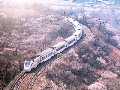 市郊铁路S2线增开赏花月列车